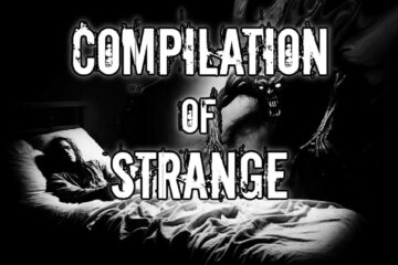 Compilation of Strange | Episode 104