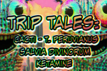 Trip Tales: Cacti-T. Peruvianus, Salvia Divinorum, Ketamine, and DMT | Ep138